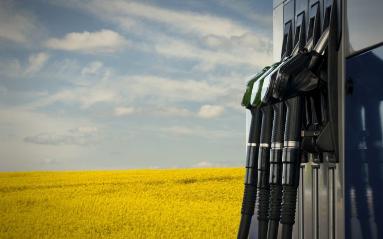 The Costs Of Biomass And Biofuels Compared With Fossil Fuels