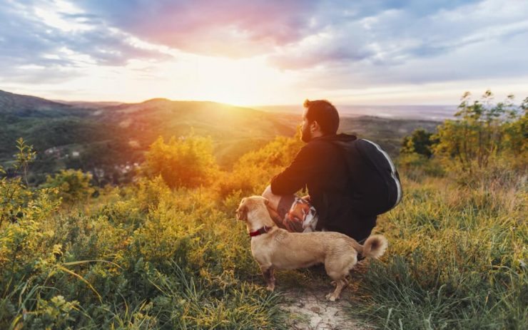 Don’t Forget the Dogs in Your Survival Preps