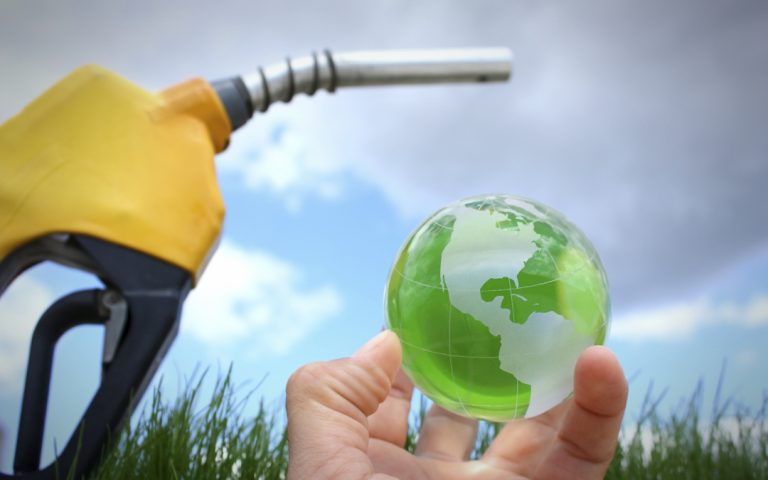 Interesting facts about Bio Fuels