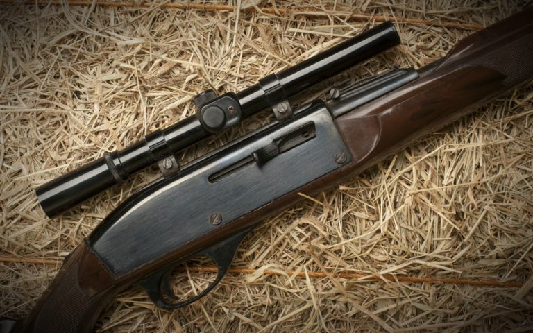 The Best Survival Guns to Have