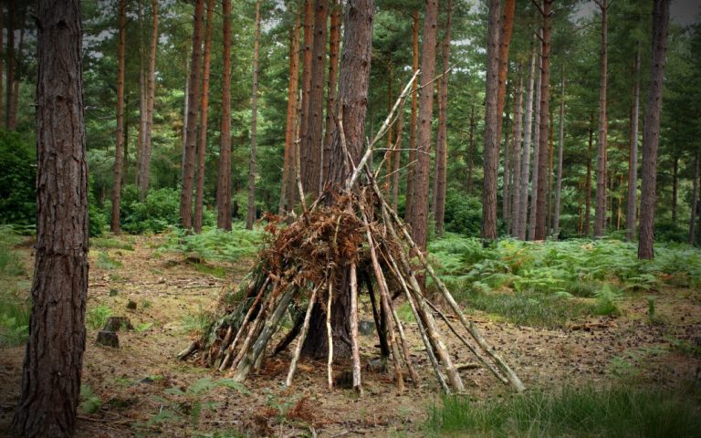 Survival Skills – Practice Makes Perfect