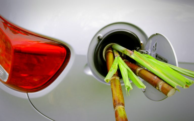 Introduction to Bio fuels