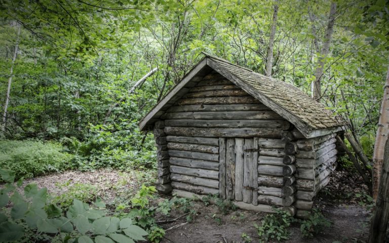 Building a Long-Term Wilderness Survival Shelter