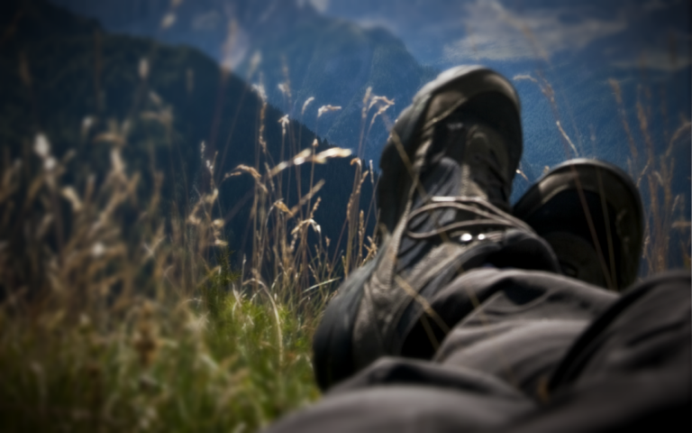 The Perfect Place to Sleep in the Woods