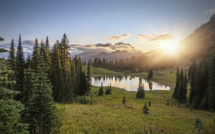 8 Ways of Finding Water in the Wild