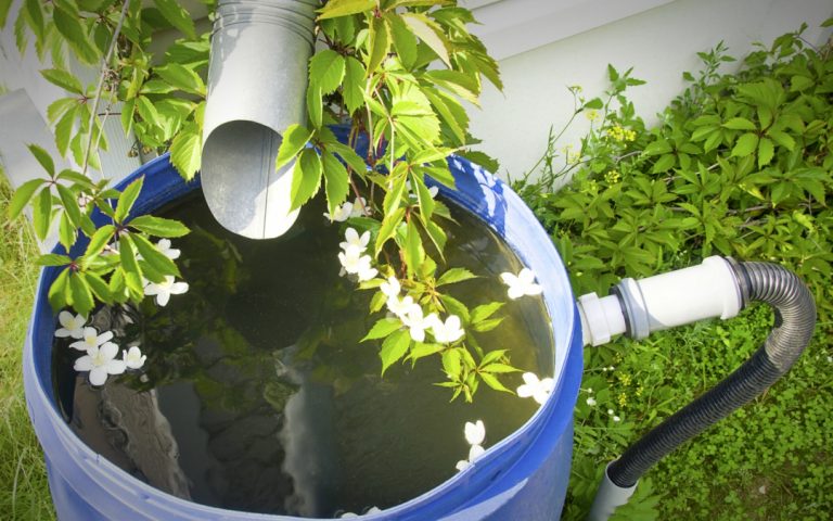 Rainwater Collection, One of Your Best Sources of Water