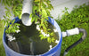 Rainwater Collection, One of Your Best Sources of Water